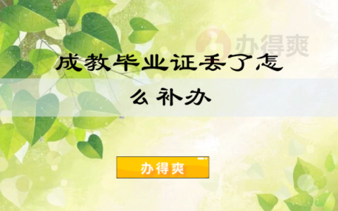 成教毕业证丢了怎么补救