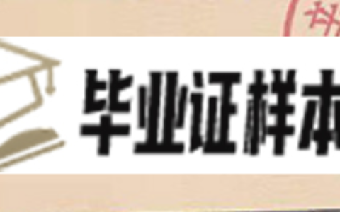 高中毕业证号如何填写