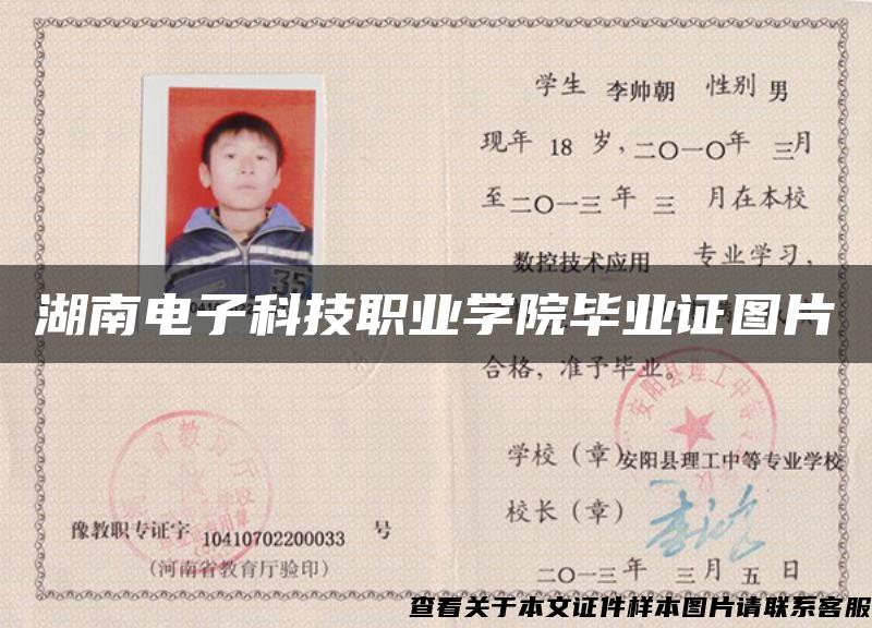 湖南电子科技职业学院毕业证图片