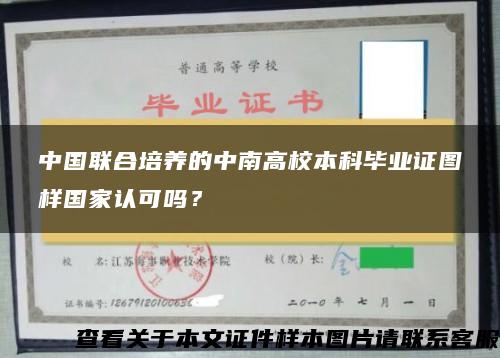 中国联合培养的中南高校本科毕业证图样国家认可吗？