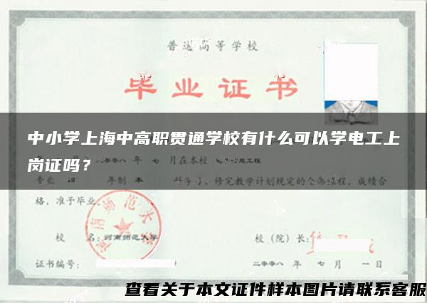 中小学上海中高职贯通学校有什么可以学电工上岗证吗？