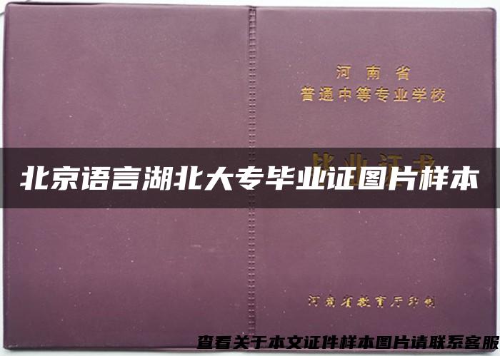 北京语言湖北大专毕业证图片样本