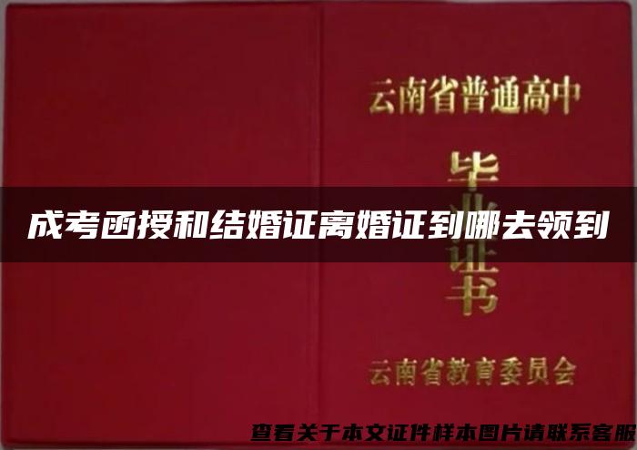 成考函授和结婚证离婚证到哪去领到