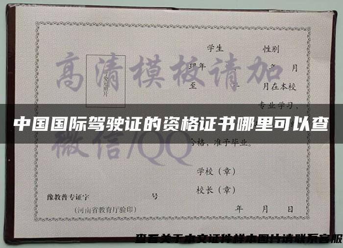 中国国际驾驶证的资格证书哪里可以查