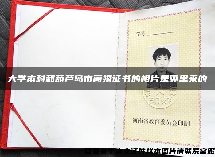 大学本科和葫芦岛市离婚证书的相片是哪里来的
