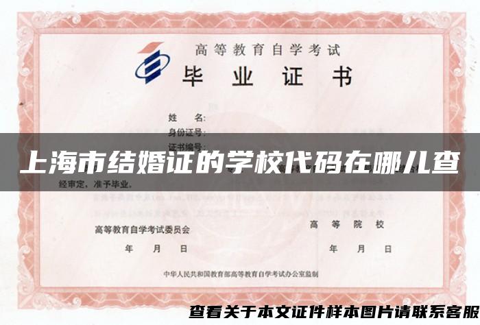 上海市结婚证的学校代码在哪儿查