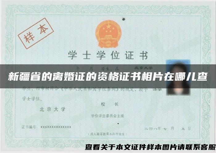 新疆省的离婚证的资格证书相片在哪儿查