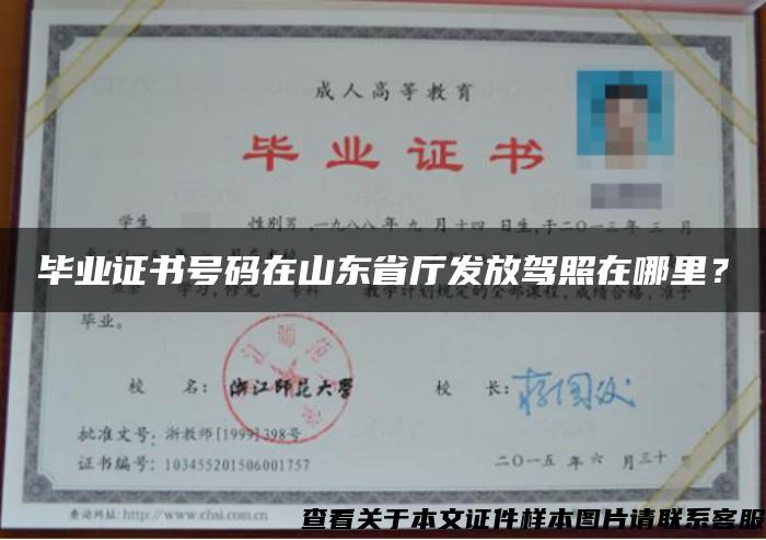 毕业证书号码在山东省厅发放驾照在哪里？
