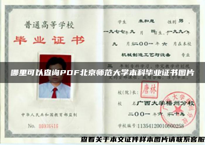 哪里可以查询PDF北京师范大学本科毕业证书图片