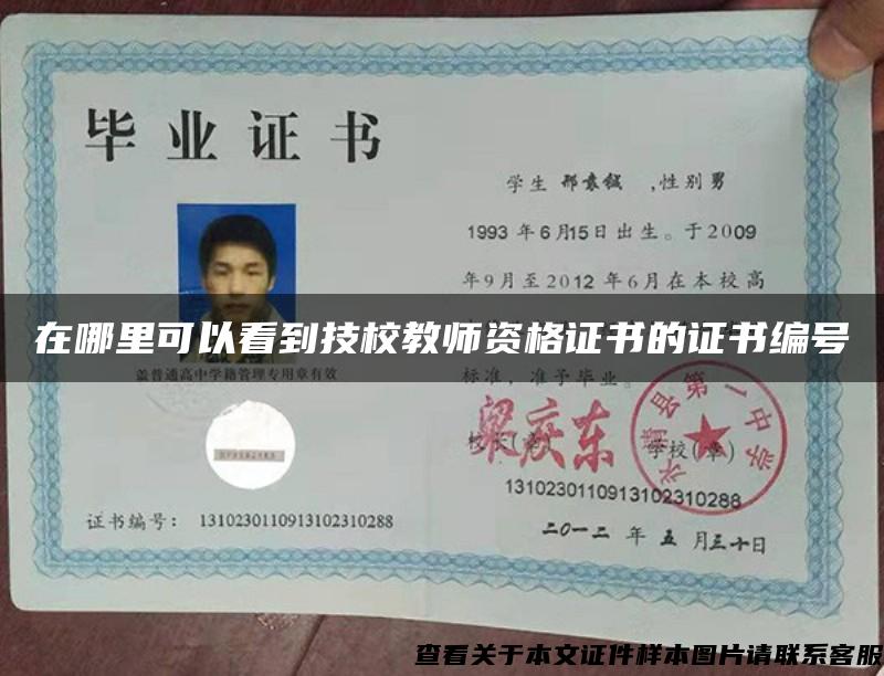 在哪里可以看到技校教师资格证书的证书编号