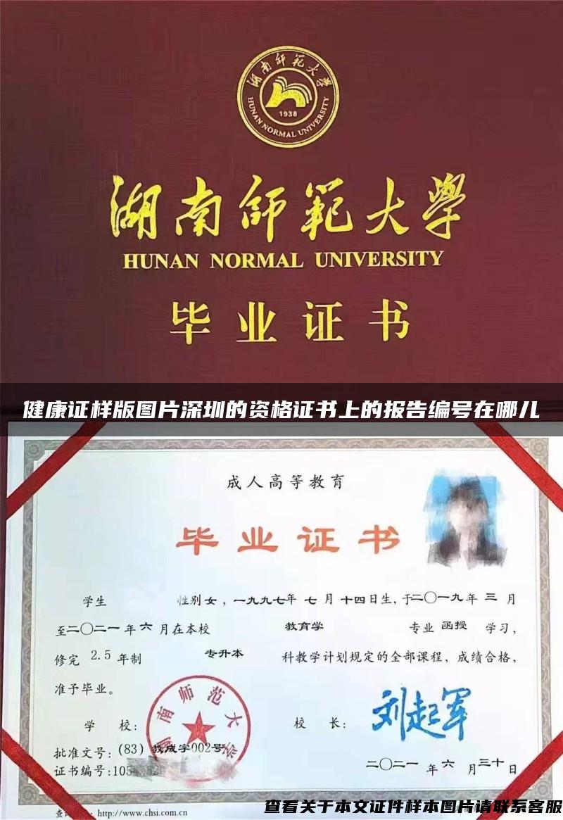 健康证样版图片深圳的资格证书上的报告编号在哪儿