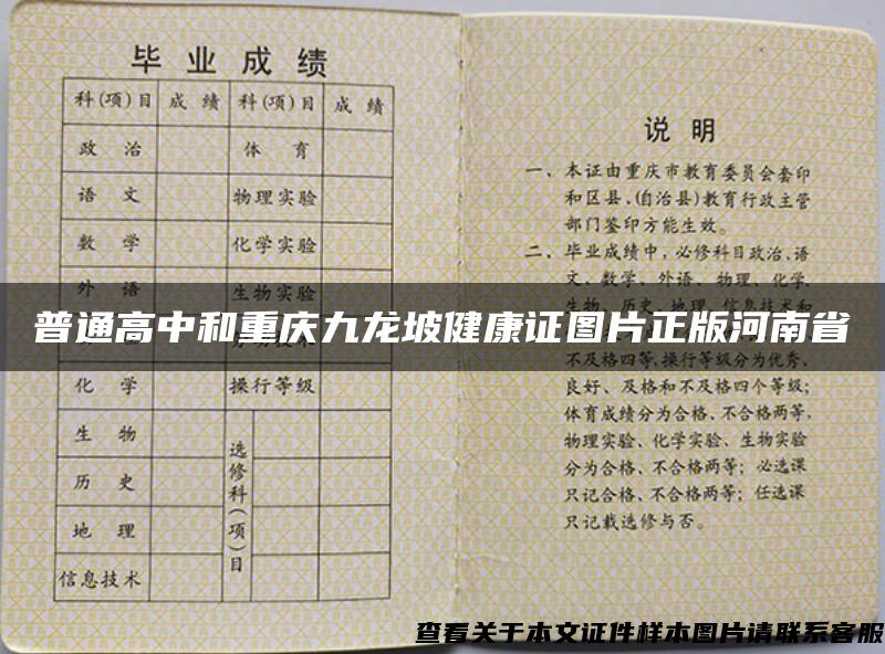 普通高中和重庆九龙坡健康证图片正版河南省