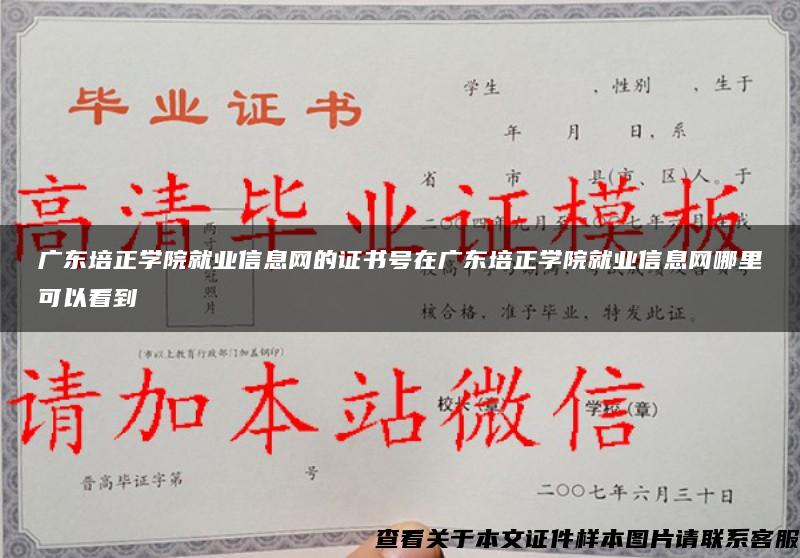 广东培正学院就业信息网的证书号在广东培正学院就业信息网哪里可以看到