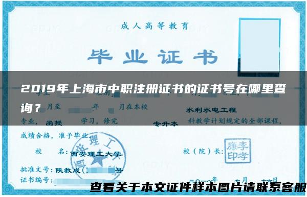 2019年上海市中职注册证书的证书号在哪里查询？