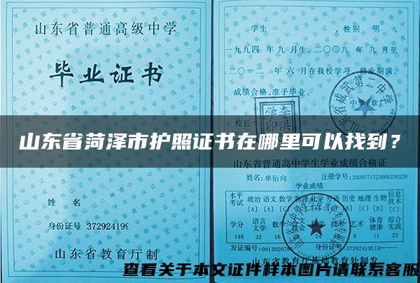 山东省菏泽市护照证书在哪里可以找到？