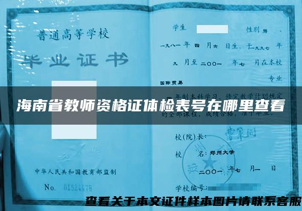 海南省教师资格证体检表号在哪里查看
