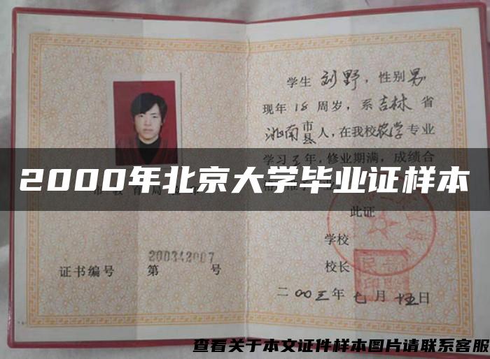 2000年北京大学毕业证样本
