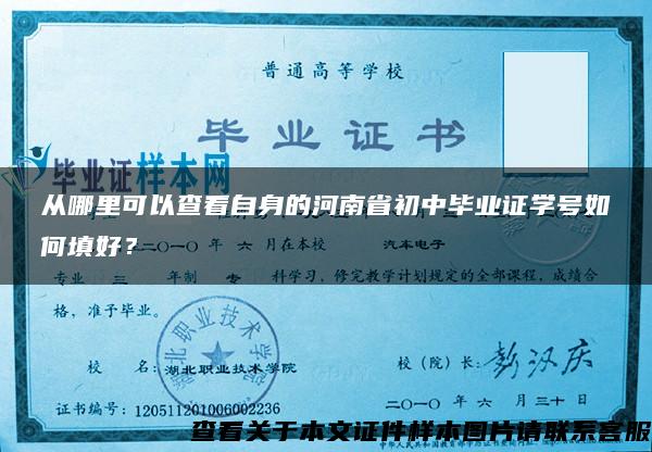 从哪里可以查看自身的河南省初中毕业证学号如何填好？