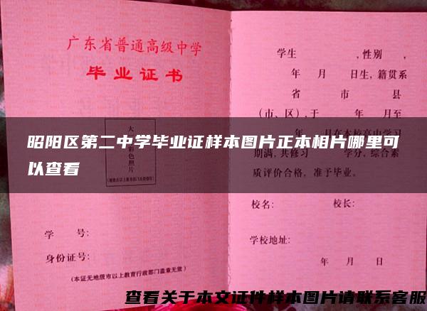 昭阳区第二中学毕业证样本图片正本相片哪里可以查看