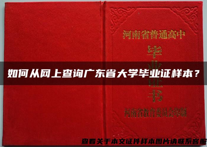 如何从网上查询广东省大学毕业证样本？