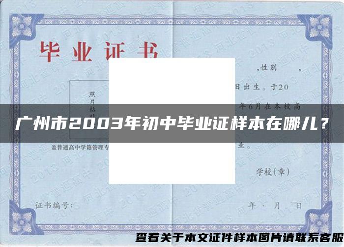 广州市2003年初中毕业证样本在哪儿？
