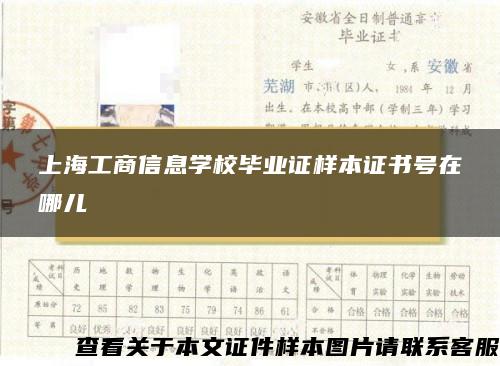 上海工商信息学校毕业证样本证书号在哪儿