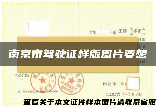南京市驾驶证样版图片要想