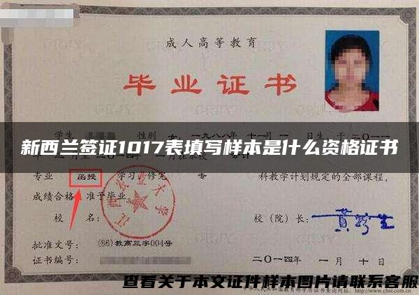 新西兰签证1017表填写样本是什么资格证书