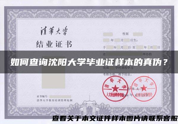 如何查询沈阳大学毕业证样本的真伪？