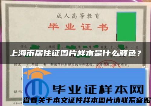 上海市居住证图片样本是什么颜色？