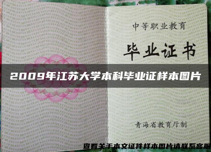 2009年江苏大学本科毕业证样本图片