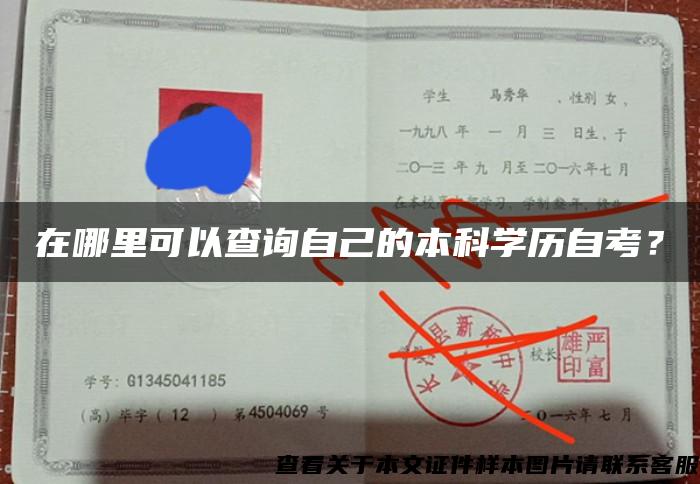 在哪里可以查询自己的本科学历自考？