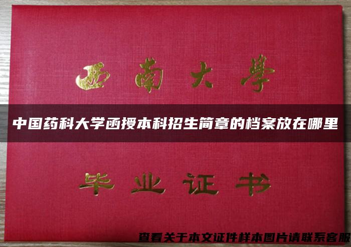 中国药科大学函授本科招生简章的档案放在哪里