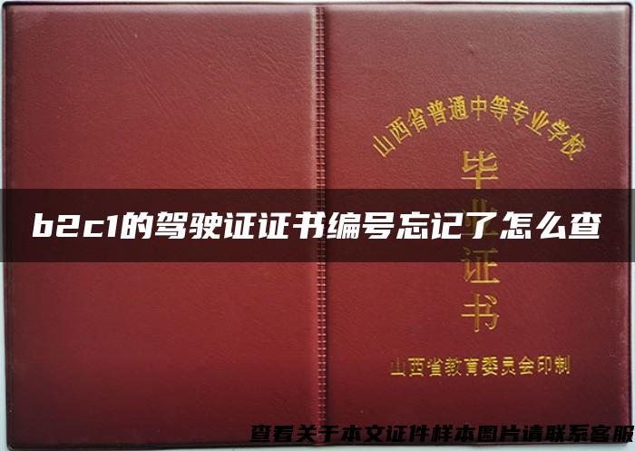 b2c1的驾驶证证书编号忘记了怎么查