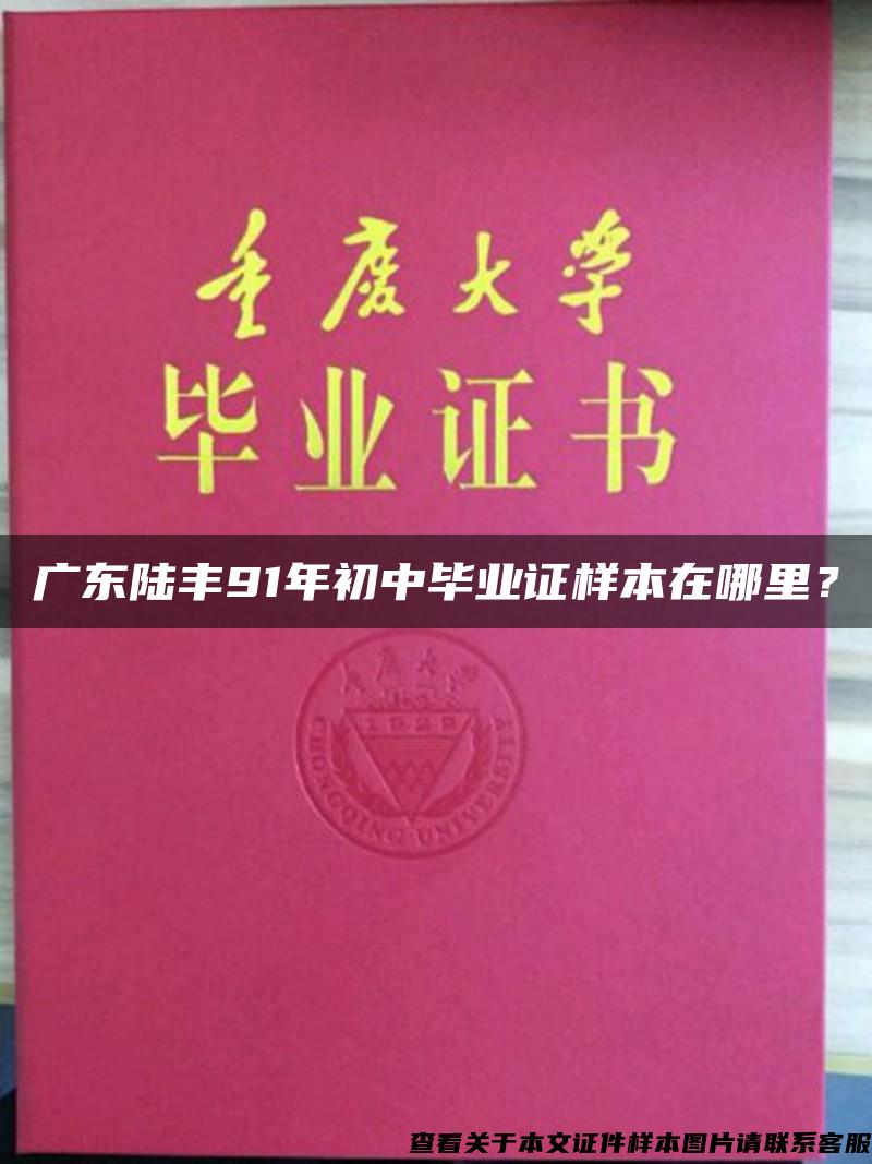 广东陆丰91年初中毕业证样本在哪里？