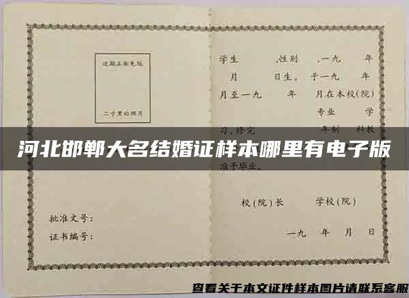 河北邯郸大名结婚证样本哪里有电子版
