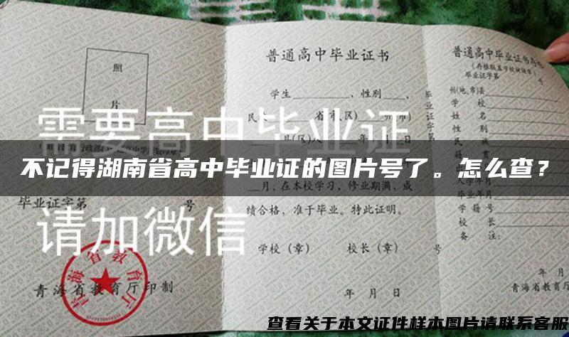 不记得湖南省高中毕业证的图片号了。怎么查？