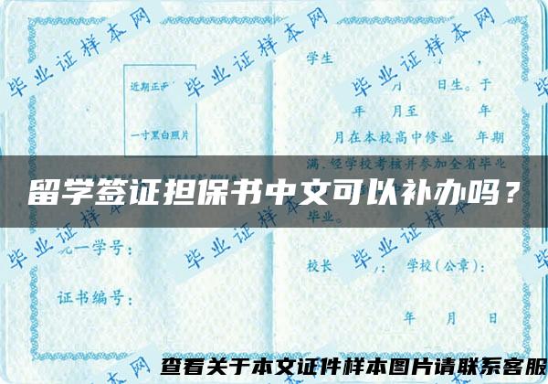 留学签证担保书中文可以补办吗？