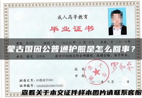 蒙古国因公普通护照是怎么回事？