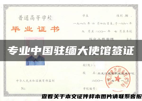 专业中国驻缅大使馆签证