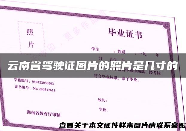 云南省驾驶证图片的照片是几寸的