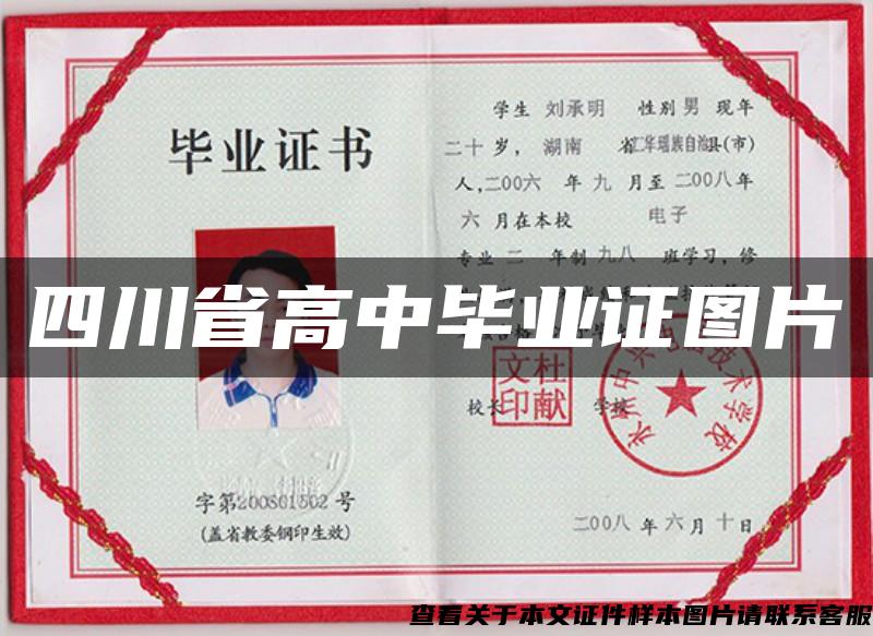 四川省高中毕业证图片