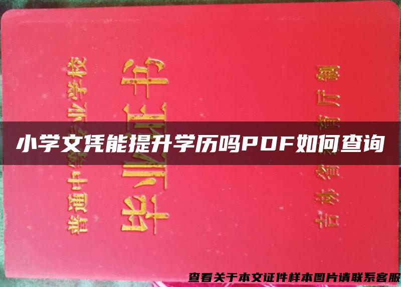 小学文凭能提升学历吗PDF如何查询