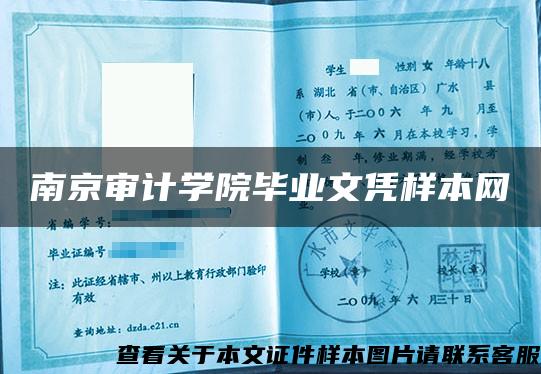 南京审计学院毕业文凭样本网