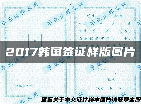 2017韩国签证样版图片 2017韩国签证样版图片