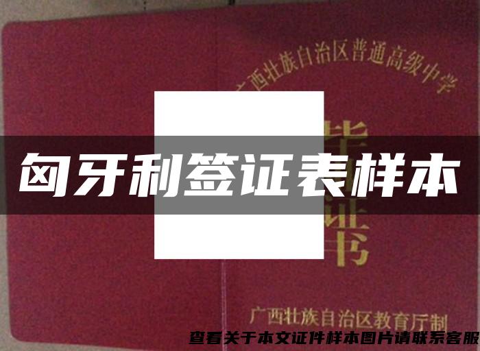 匈牙利签证表样本