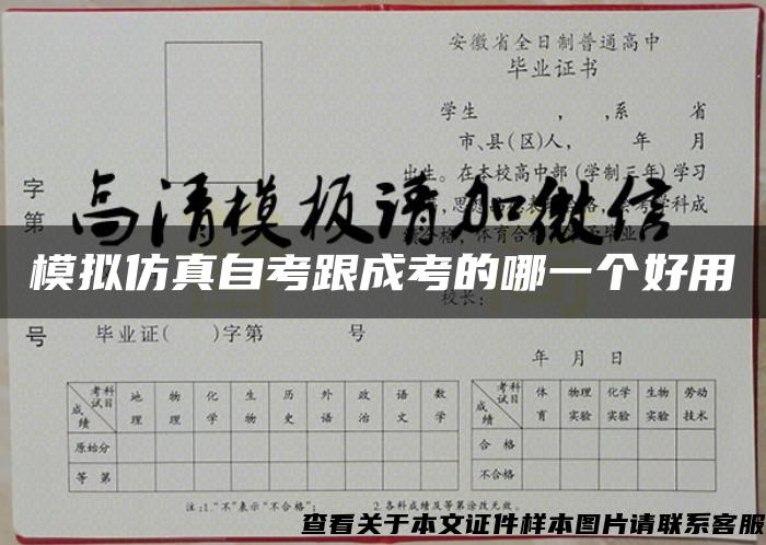 模拟仿真自考跟成考的哪一个好用