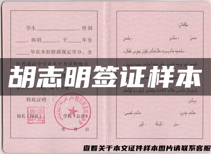 胡志明签证样本