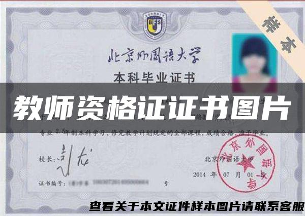 教师资格证证书图片