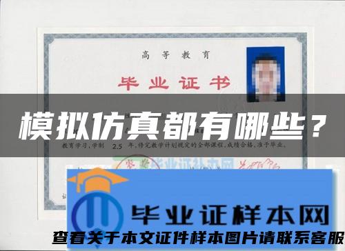 模拟仿真都有哪些? 模拟仿真都有哪些?